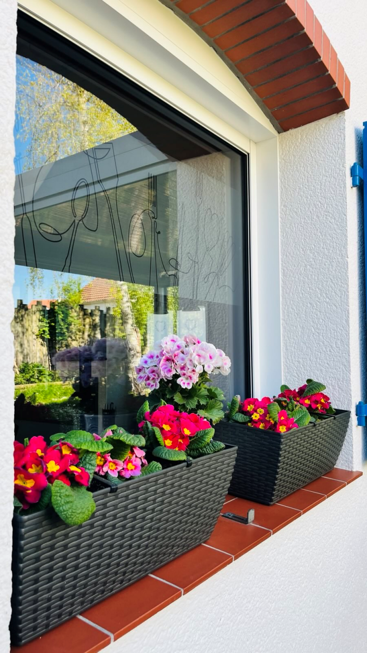 fenêtre en alu blanche de cuisine avec pots de fleurs sur le rebord coloréses